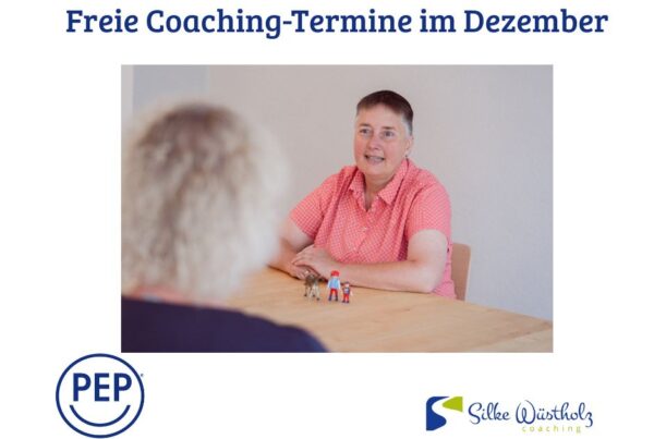 Einzelcoaching, Praxis